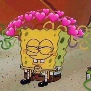 Meet your Posher, Delaney